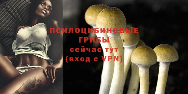 эйфоретик Арсеньев