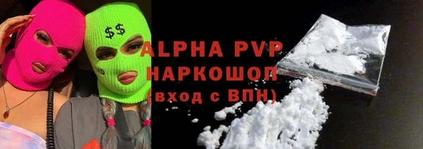 стаф Аркадак