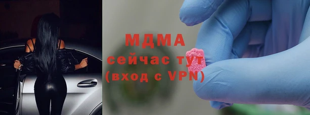 стаф Аркадак
