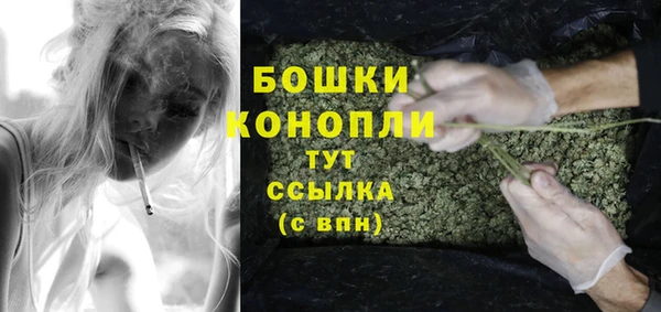 эйфоретик Арсеньев