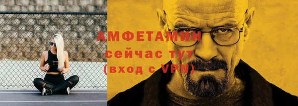 стаф Аркадак