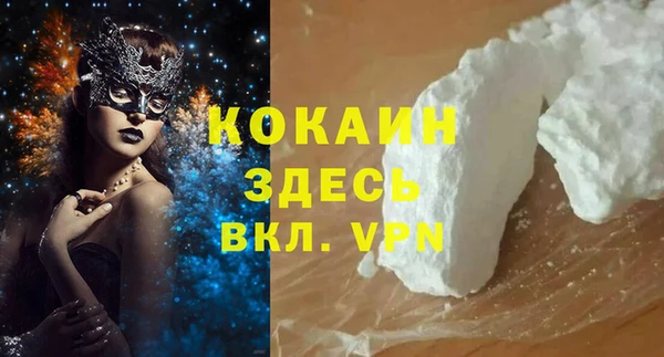 стаф Аркадак