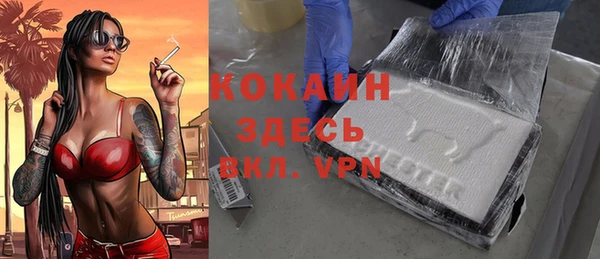 стаф Аркадак