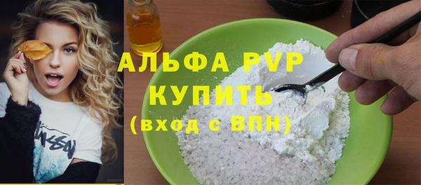 стаф Аркадак