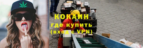 эйфоретик Арсеньев